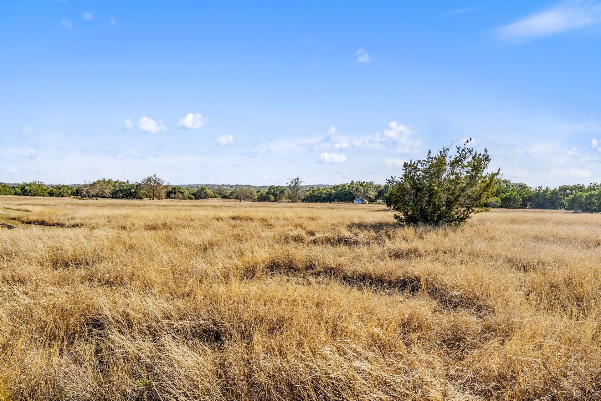 Open Pasture Field View